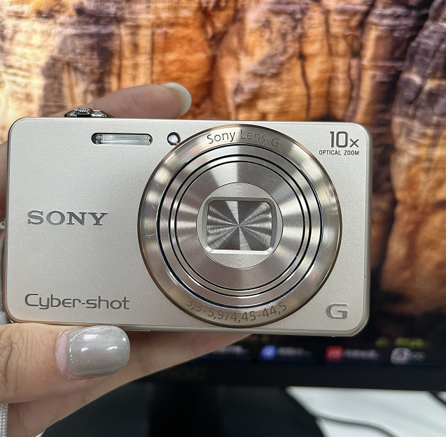 SONY Cyber-shot DSC-WX200 18.2 MP 10x Optical Zoom Digital Camera Gold
