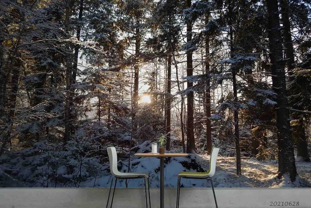3D Forest Snow Winter Landscape Wall Murals Wallpaper Murals Wall Sticker