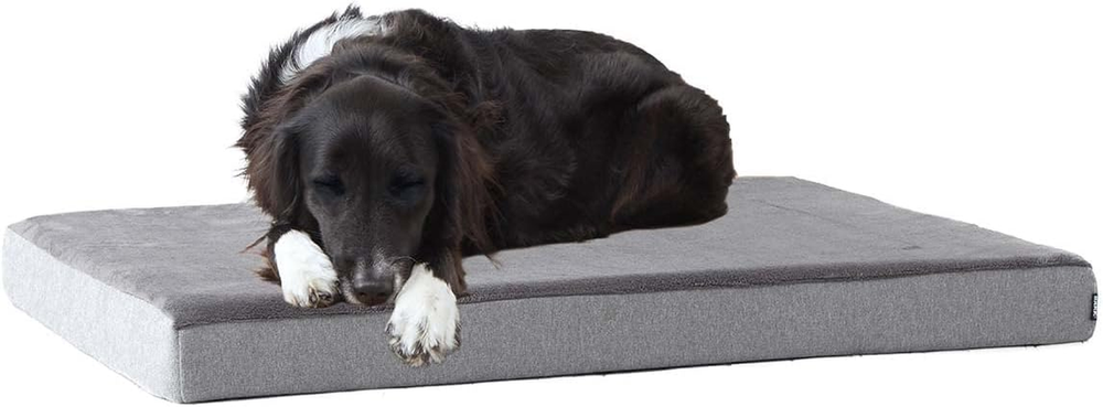 Orthopedic Dog Bed with Memory Foam, Premium Comfort for Dogs and Puppies, Dog B