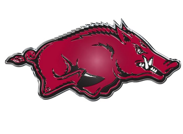 New NCAA Arkansas Razorbacks Car Truck Aluminum Color 3-D Sticker Decal Emblem