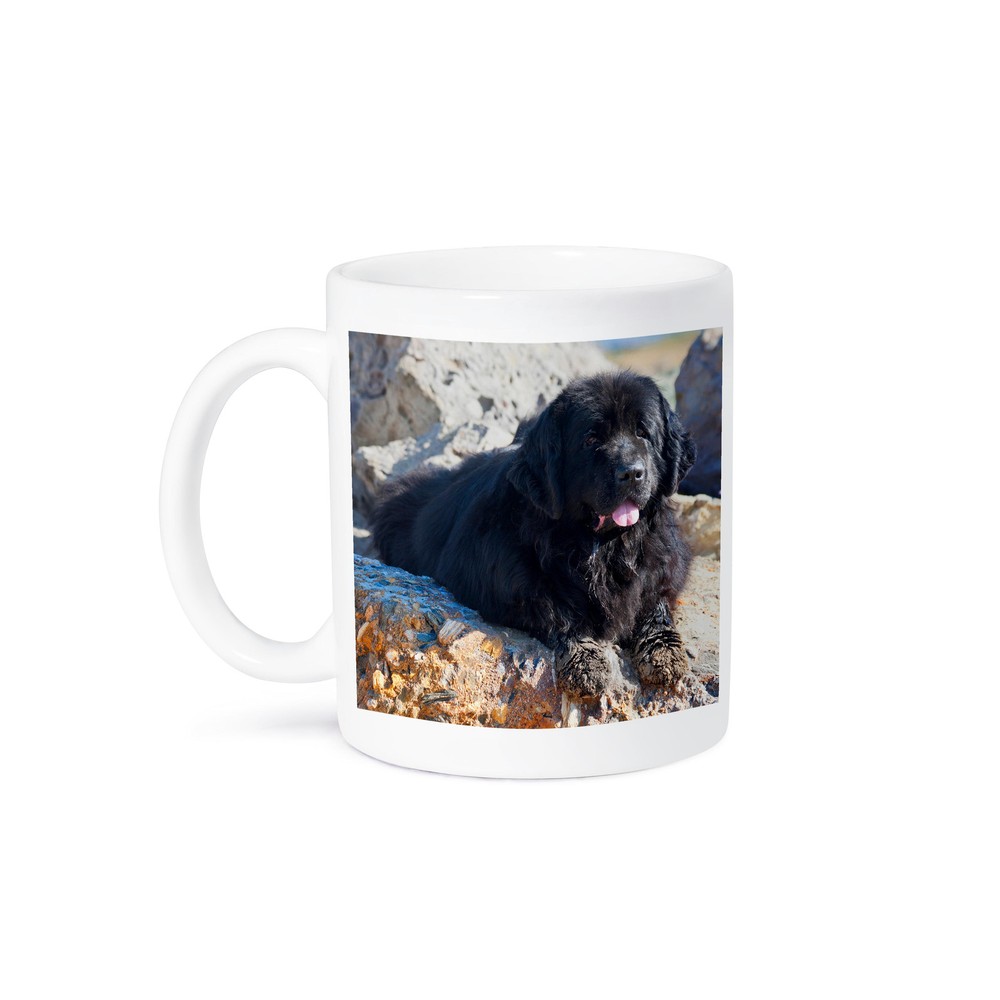 3dRose USA California Newfoundland Dog Mug with Sandy Paws Design