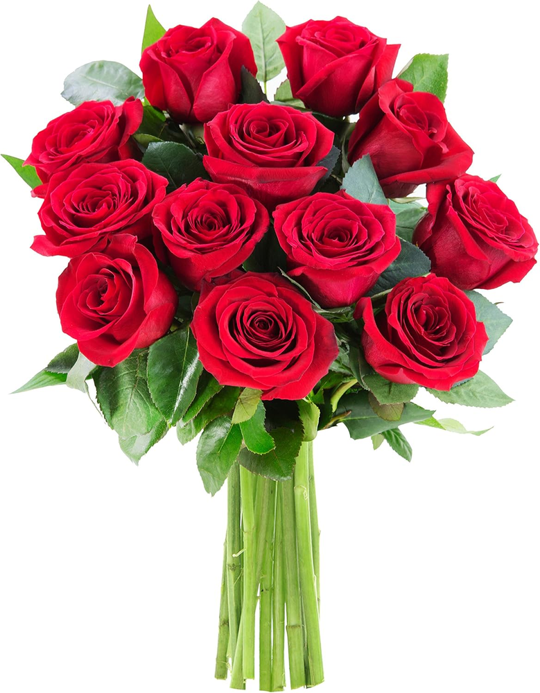 PRIME NEXT DAY DELIVERY - the Romantic Classic Bouquet of 12 Fresh Red Roses .Gi-image