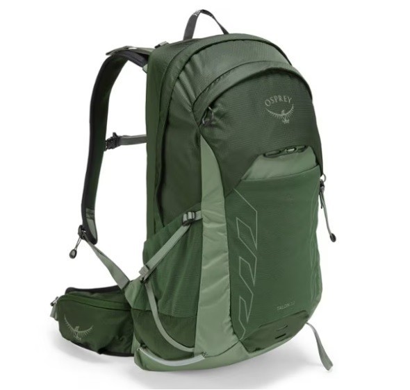Men's Osprey Talon 22 Backpack in Green Canopy Pine Leaf - Free Shipping
