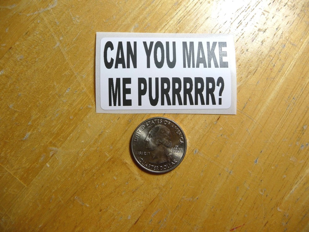 Playful Cat Purr Sticker Decal in Bulk 1-50 Pack