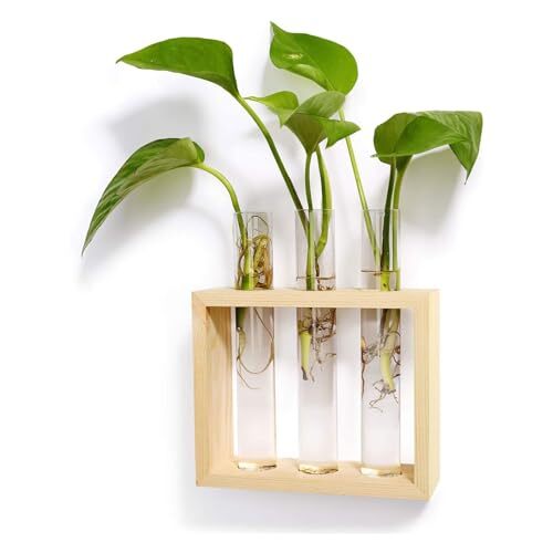 Wall Hanging Plant Propagation Glass Planter Station 3 Tubes with Small Beige