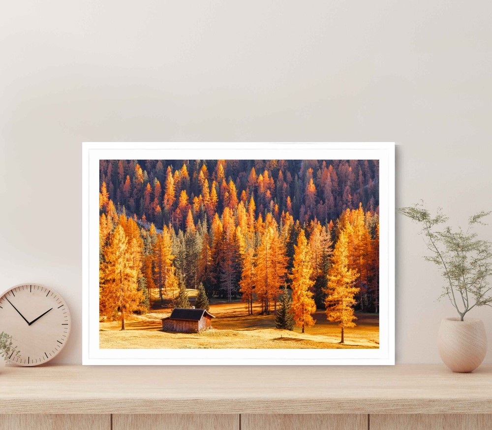 Seasonal Autumnal Scenery in Highlands Poster Premium Quality Choose your Size-image