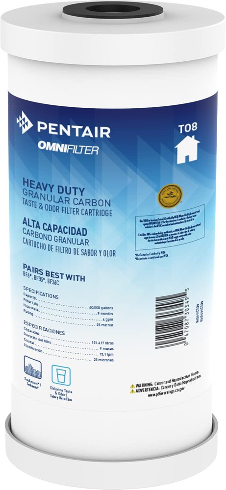 Pentair TO8 Carbon Water Filter, 10