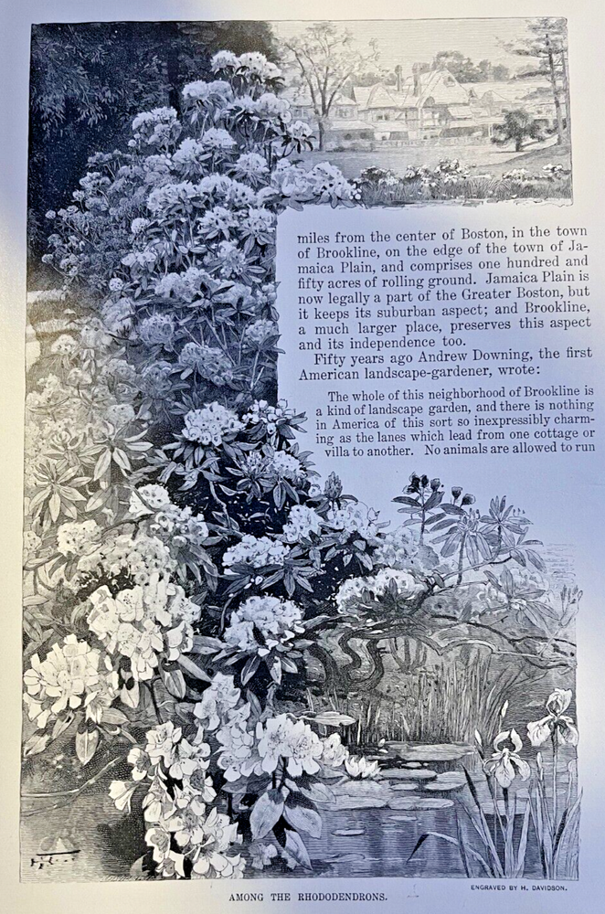 1897 Holm Lea Home 0f Professor Charles Sprague Sargent Brookline Massachusetts