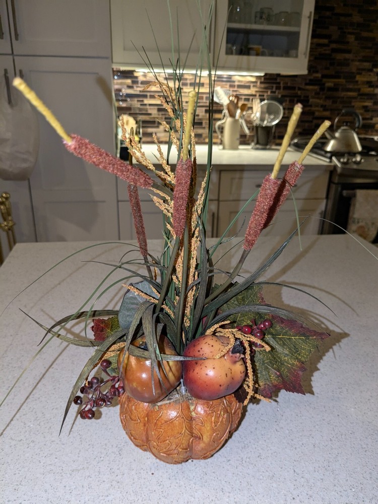 Unbranded Thanksgiving Decor Centerpieces w/ Plants and Fruits inside a Pumpkin