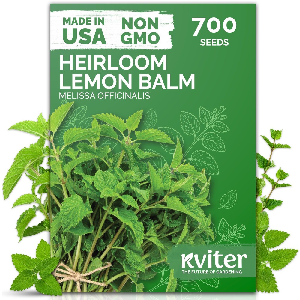 700 Organic Lemon Balm Seeds - Melissa Officinalis Herb for Planting