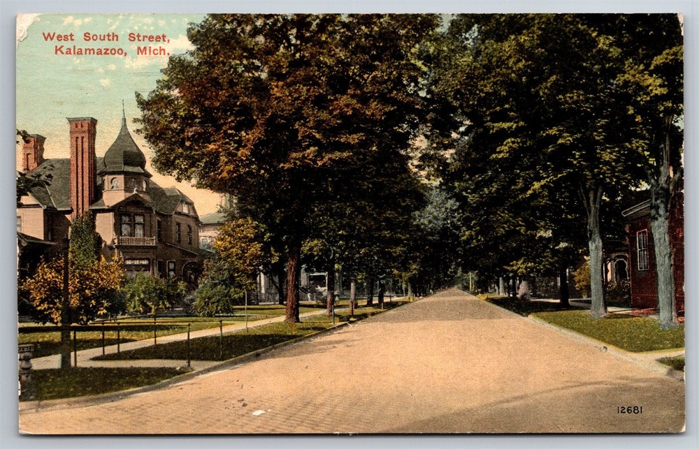 West South Street Tree Lined Houses Kalamazoo MI C1913 Postcard U25