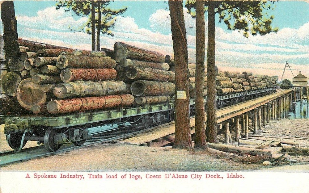 1911 Coeur D' Alene Idaho Spokane logging train occupation Postcard 25-10232