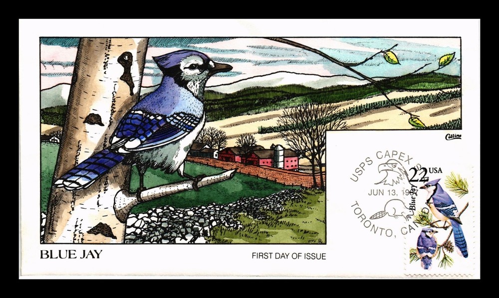 DR JIM STAMPS US COVER BLUE JAY WILDLIFE CAPEX FDC COLLINS HAND PAINTED
