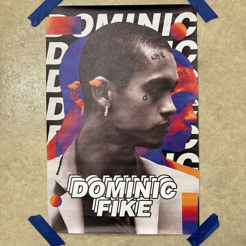 Dominic Fike Music Rapper Singer ✅ Wall Art Canvas Poster Print ✅ 12x18 inch