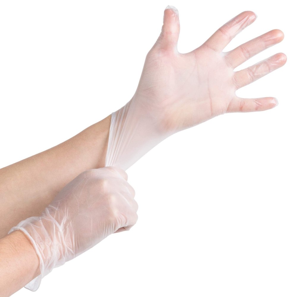 Clear Large Powder-Free Vinyl Gloves for Food Service Disposable