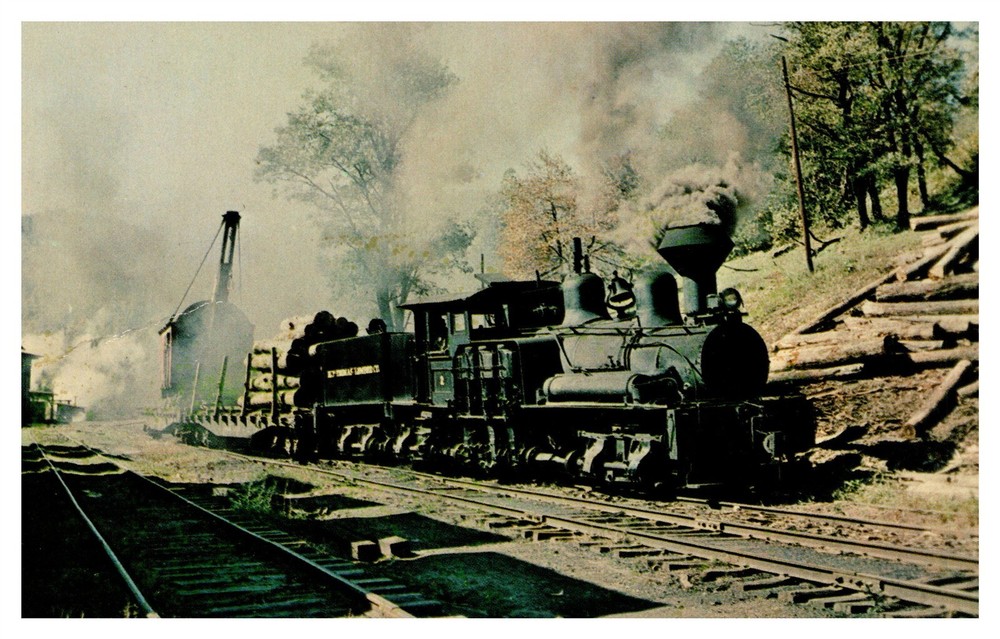 Rare Fenwick Log Train Postcard - Last US Steam Logging Railroad AE19