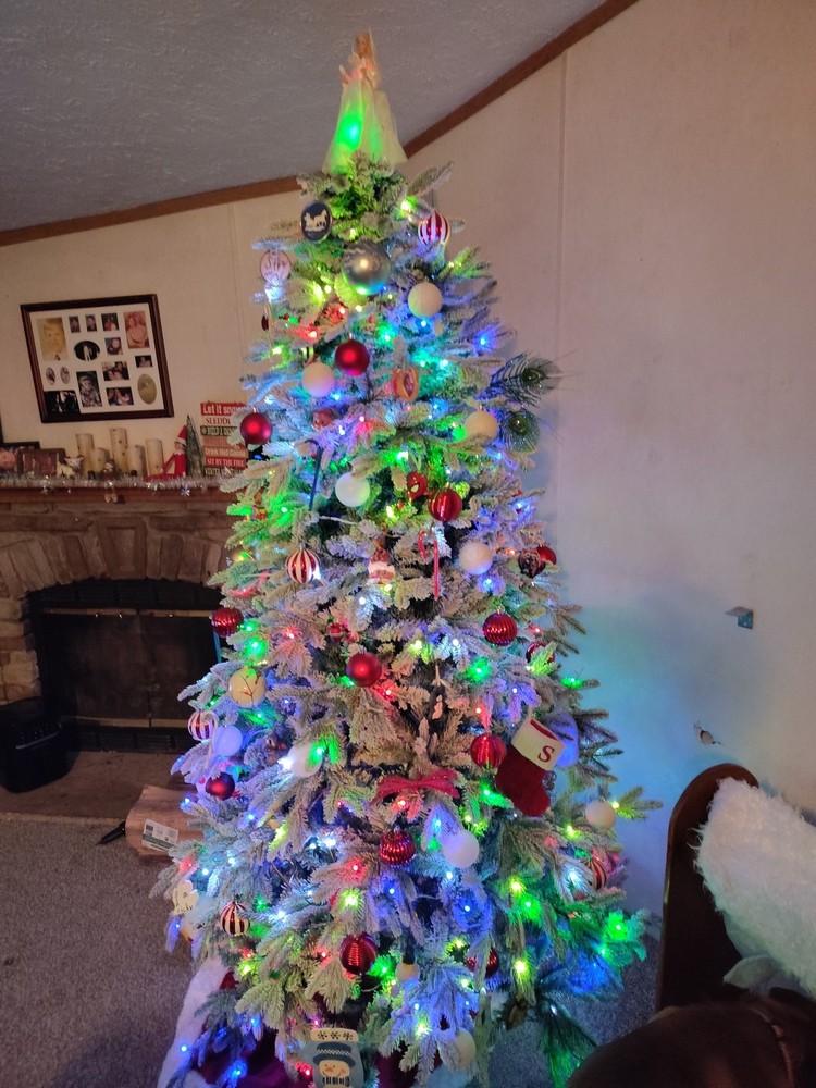 7.5ft  Pre-Lit Flocked Cedar Christmas Tree. Brand New. Unopened.