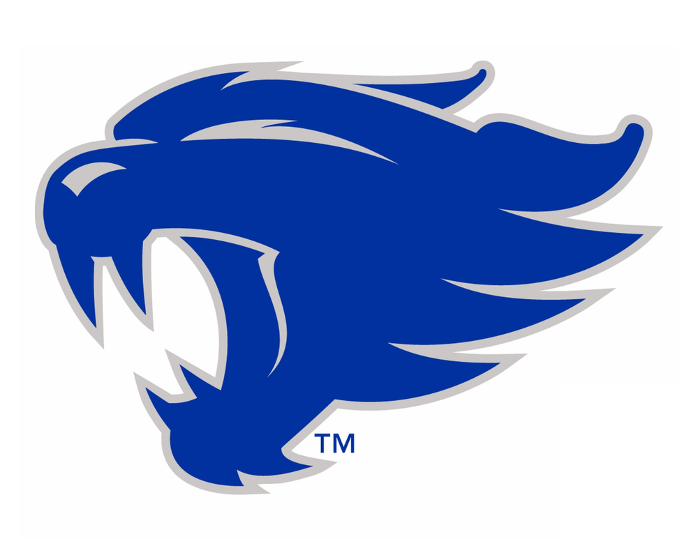 Kentucky Wildcats NCAA Weather Resistant Vinyl Die Cut Sticker Decal 10