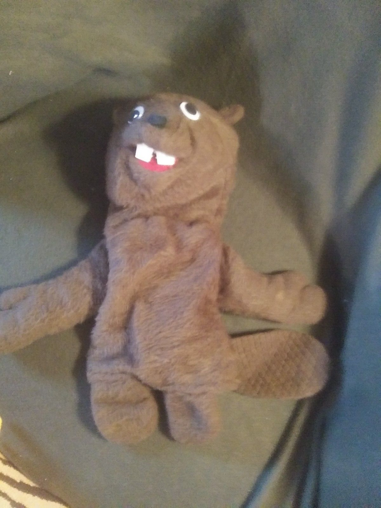 Vintage Shelly BEAVER Hand Puppet 15 Inch Made in USA Excluding Tail