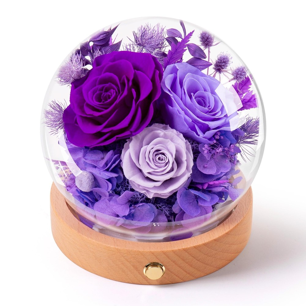Valentines Day Roses Gifts for Her,Forever Preserved Flowers Roses in Glass D...