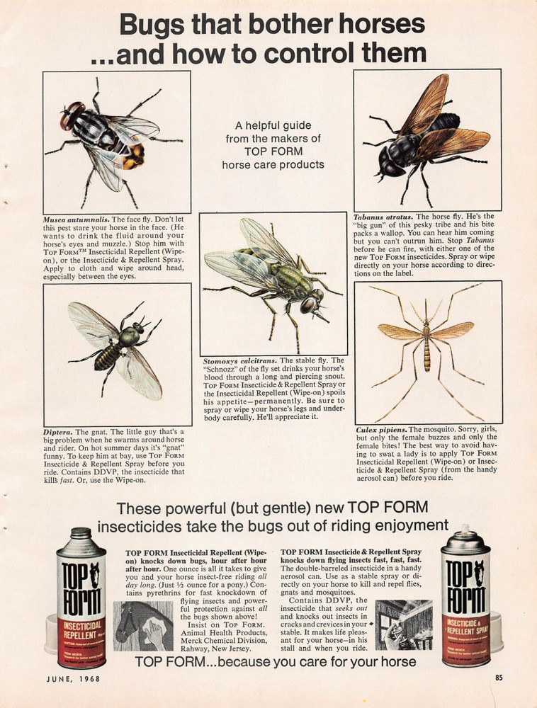 Top Form Insecticide Insects Horse Fly Mosquito Vtg Advertising Print Ad 1968