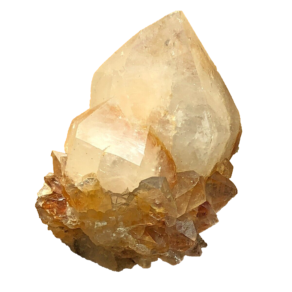 White and Citrine SPIRIT QUARTZ Cactus Crystal CC4512 Phantom