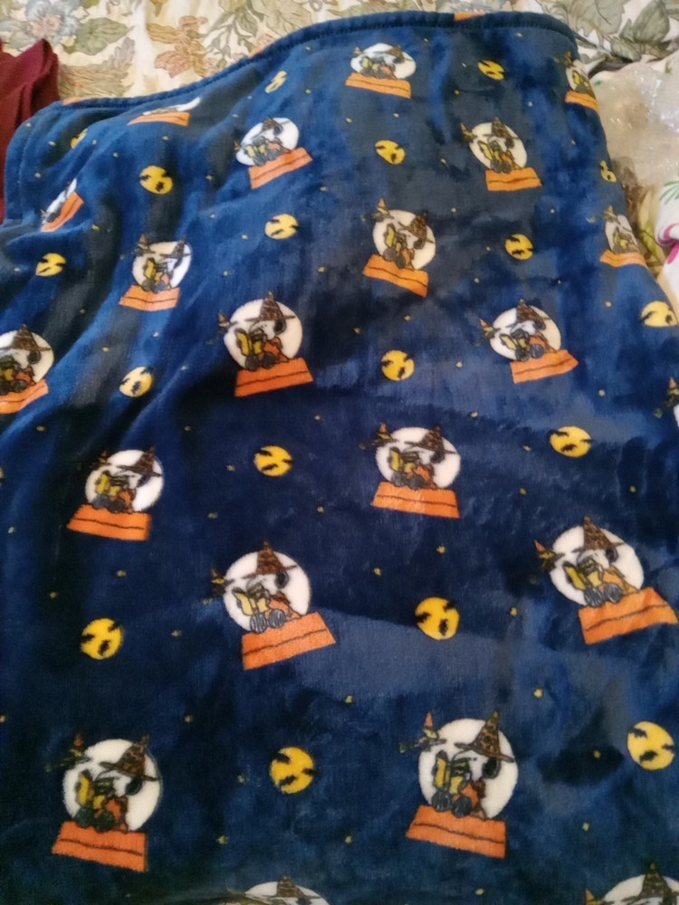 Snoopy Woodstock Halloween VelvetSoft Throw Blanket 50x70 by Berkshire