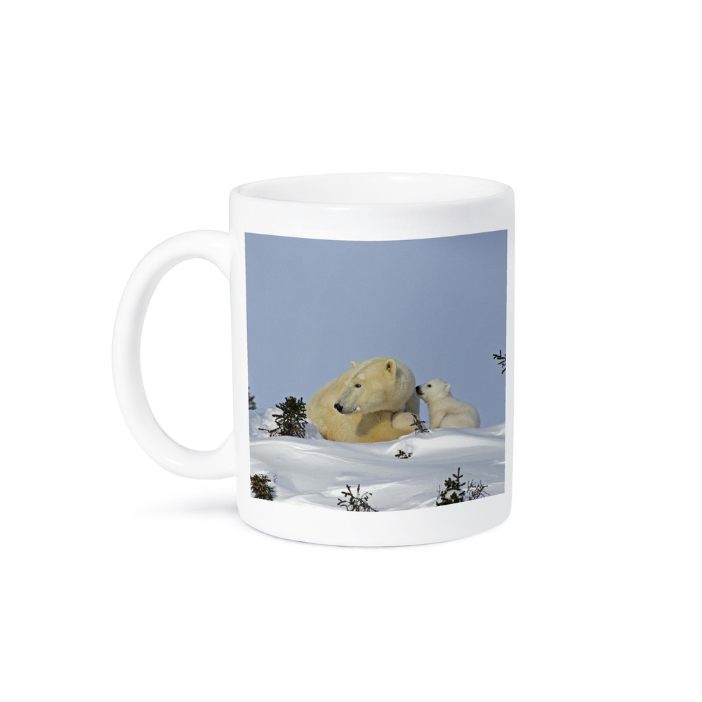 3dRose Manitoba Wapusk NP Polar Bear Cub Mug by Janyes Gallery