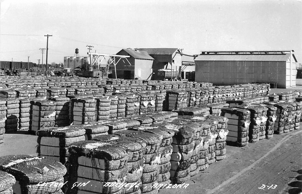 1950s Buckeye AZ Cotton Gin Cook Occupation D-13 RPPC Postcard 25-7183 Vintage Photo