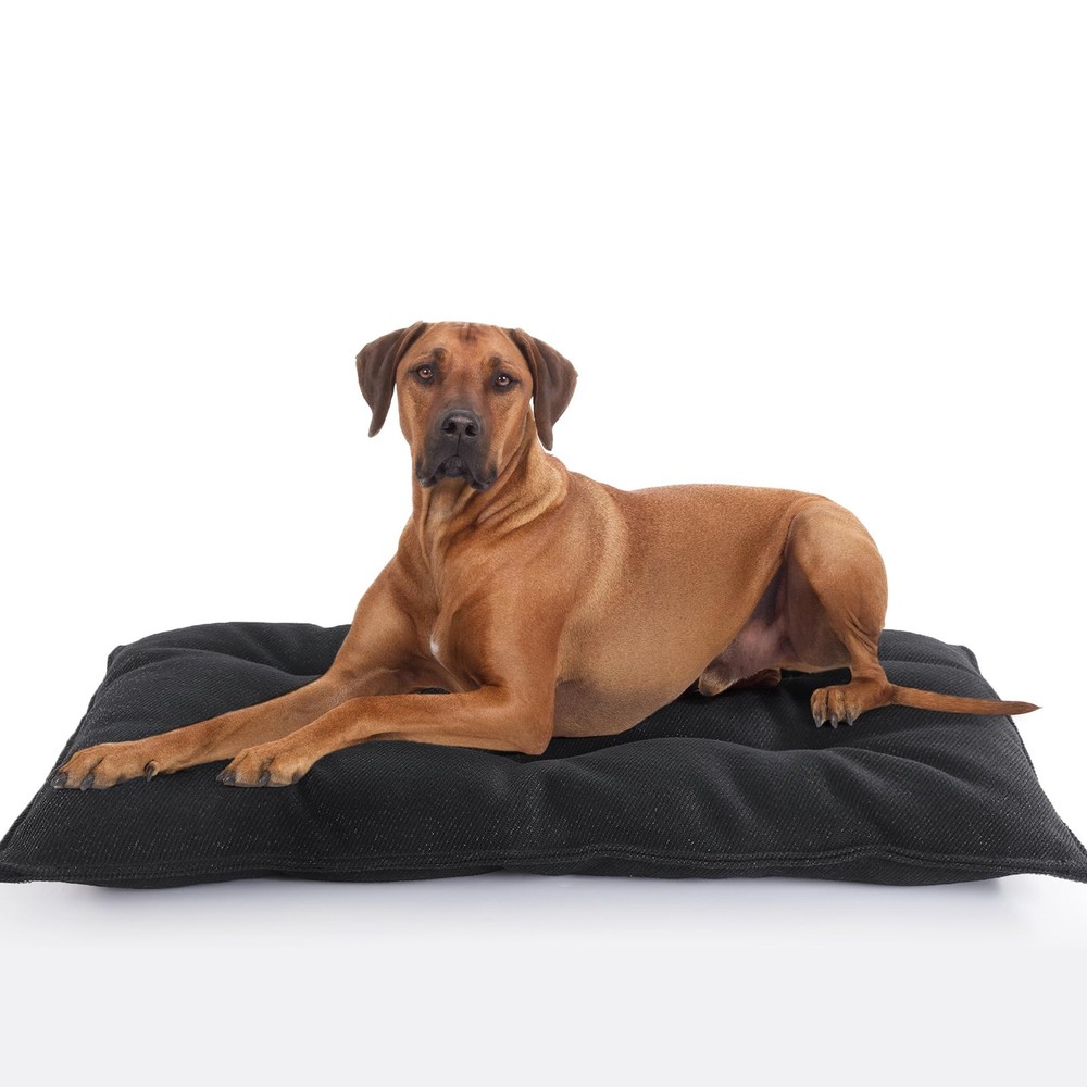 MABOZOO Chew Proof Indestructible Dog Beds for Aggressive Chewers,Durable Dog...