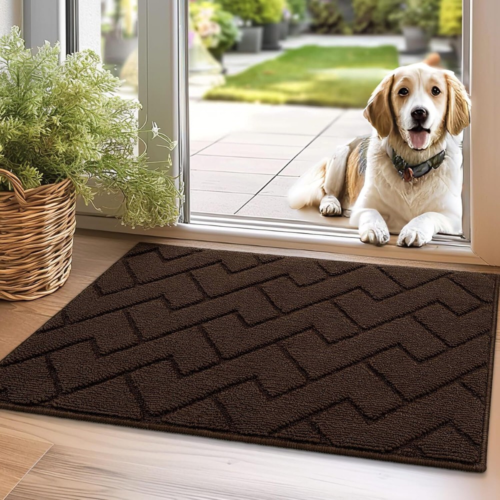 Non-Slip Indoor Doormat with Rubber Backing 20x31.5 for Front or Back Door
