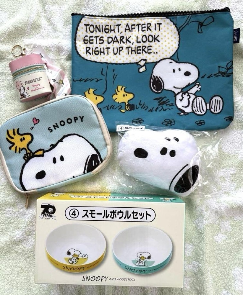 Snoopy Multi Case Pouch Set Collectible Sanrio Amusement Prize Flat Bowl