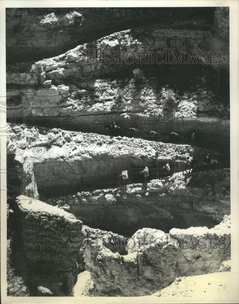 1987 Press Photo A view of pack mules going up the Kaibab Trail, Grand Canyon.