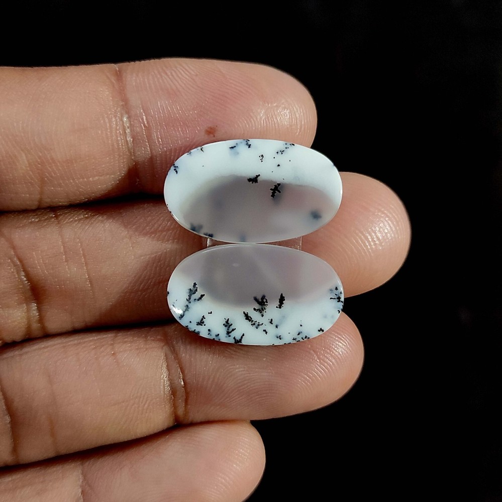 2 Pcs Natural Dendritic Opal 18.60 Cts oval Handmade Cabochon 21.6x12x3 MM