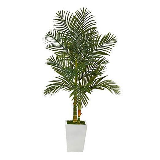5.5ft Golden Cane Fake Palm Tree in White Metal Planter