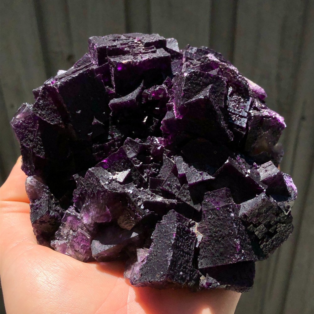 12.8cm Stunning Purple Fluorite Crystal Specimen from Cave in Rock Illinois USA