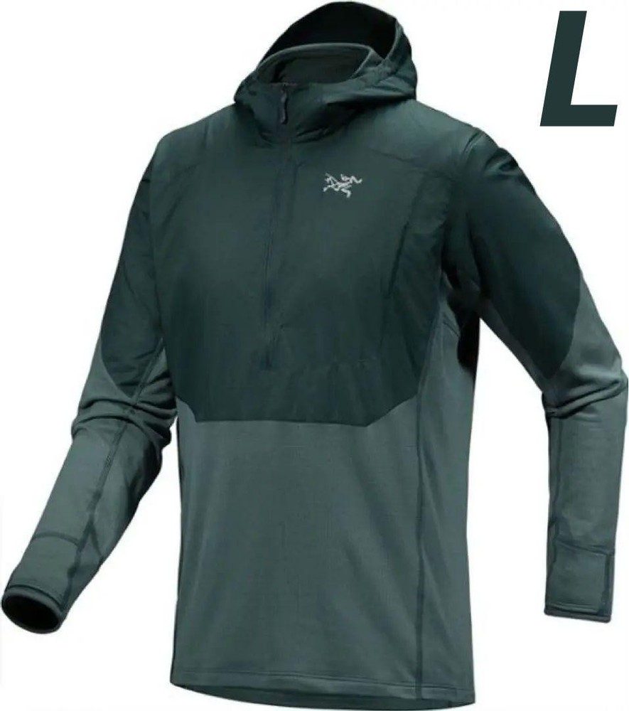 Arcteryx Delta Hybrid Hoodie L Discontinued Rare Model