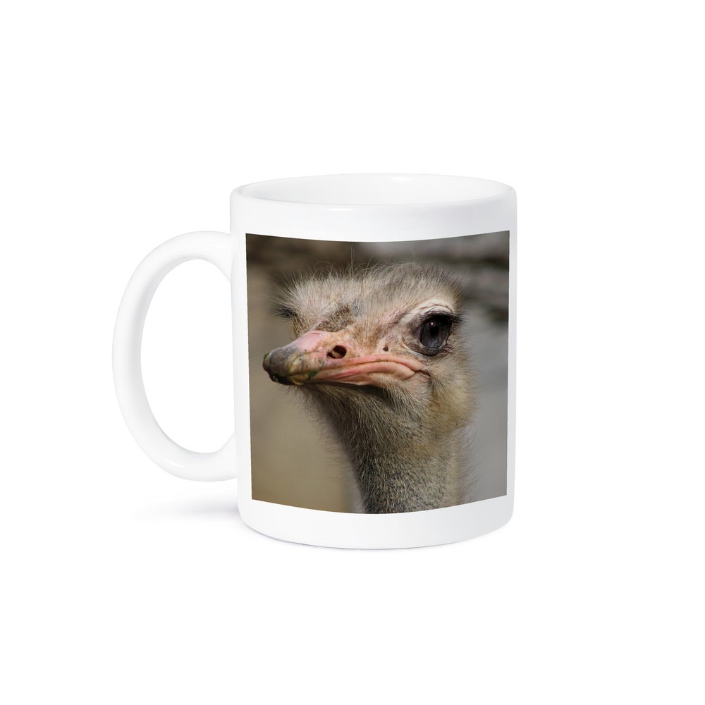 Silly Cute Ostrich Face Animal Photo Mug by 3dRose