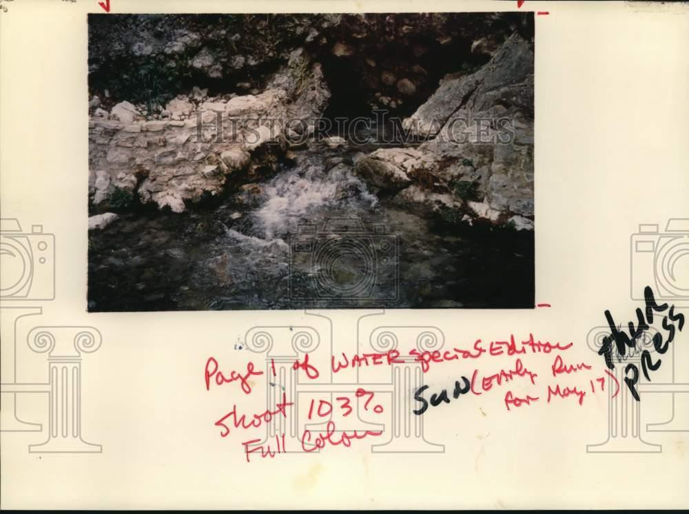 1992 Press Photo Water Emerges At Comal Springs in New Braunfels, Texas