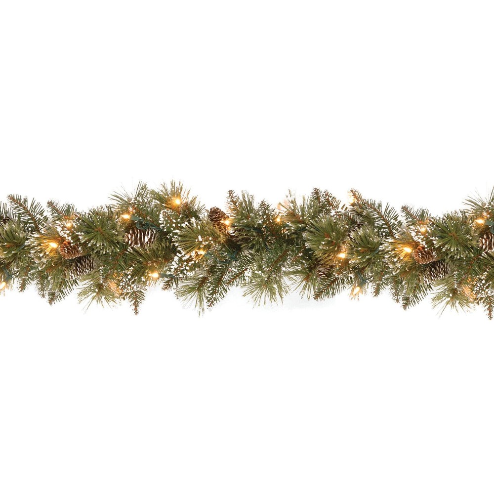 9 ft. Pre-Lit Glittery Bristle Pine Garland with Clear Lights, Plug-In