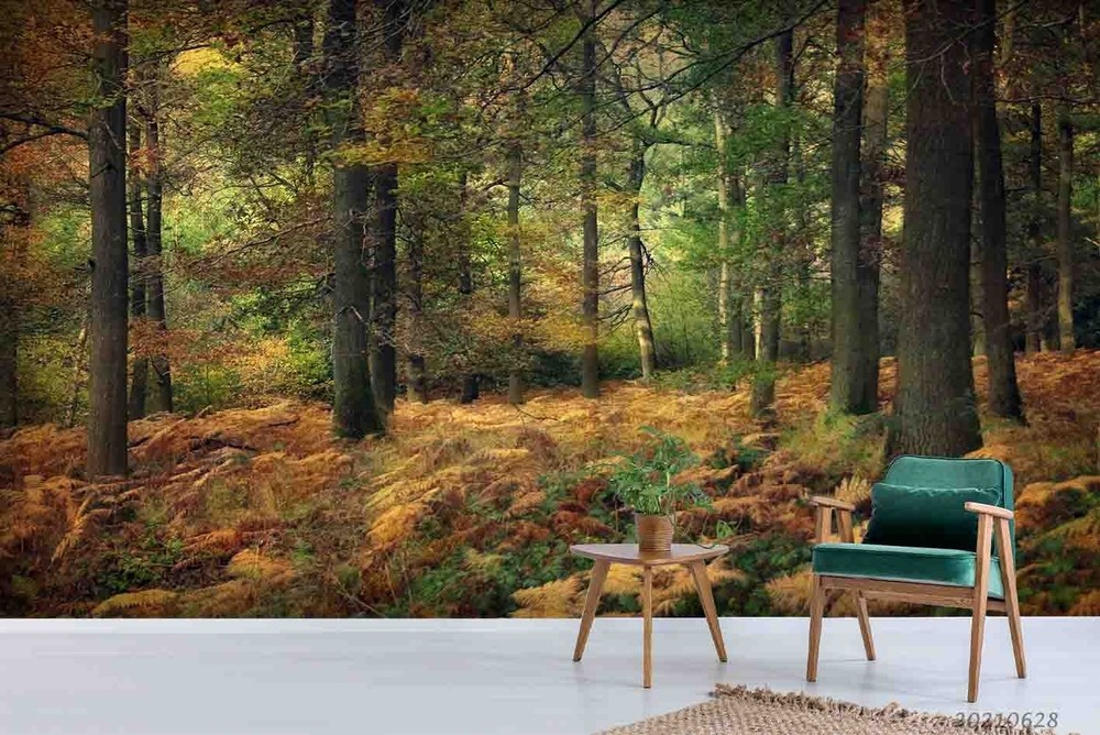 3D Woods Autumn Landscape Wall Murals Wallpaper Murals Wall Sticker