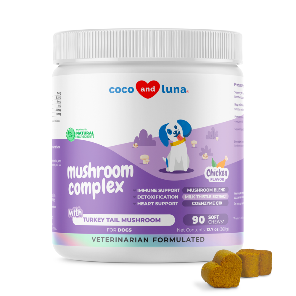 Mushroom Complex for Dogs with Turkey Tail Boosts Immune & Liver Support