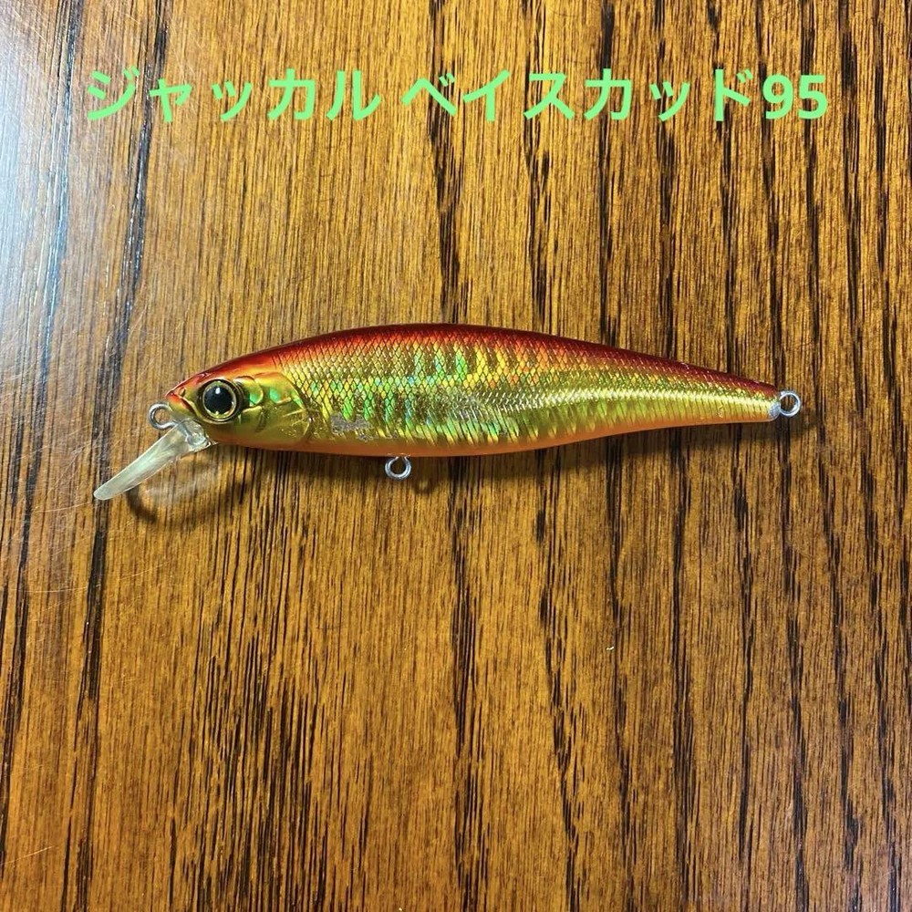 Fishing Lure Jackall Basquad 95 Thinking