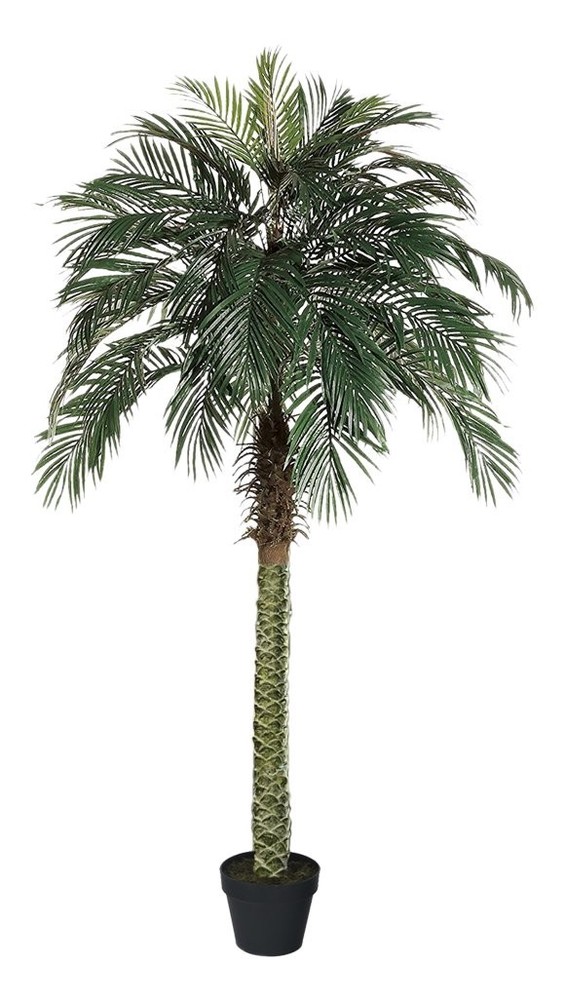 AM23168CP525FT 6ft Tropical Palm Artificial Plant 7747A6M Stunning Decor