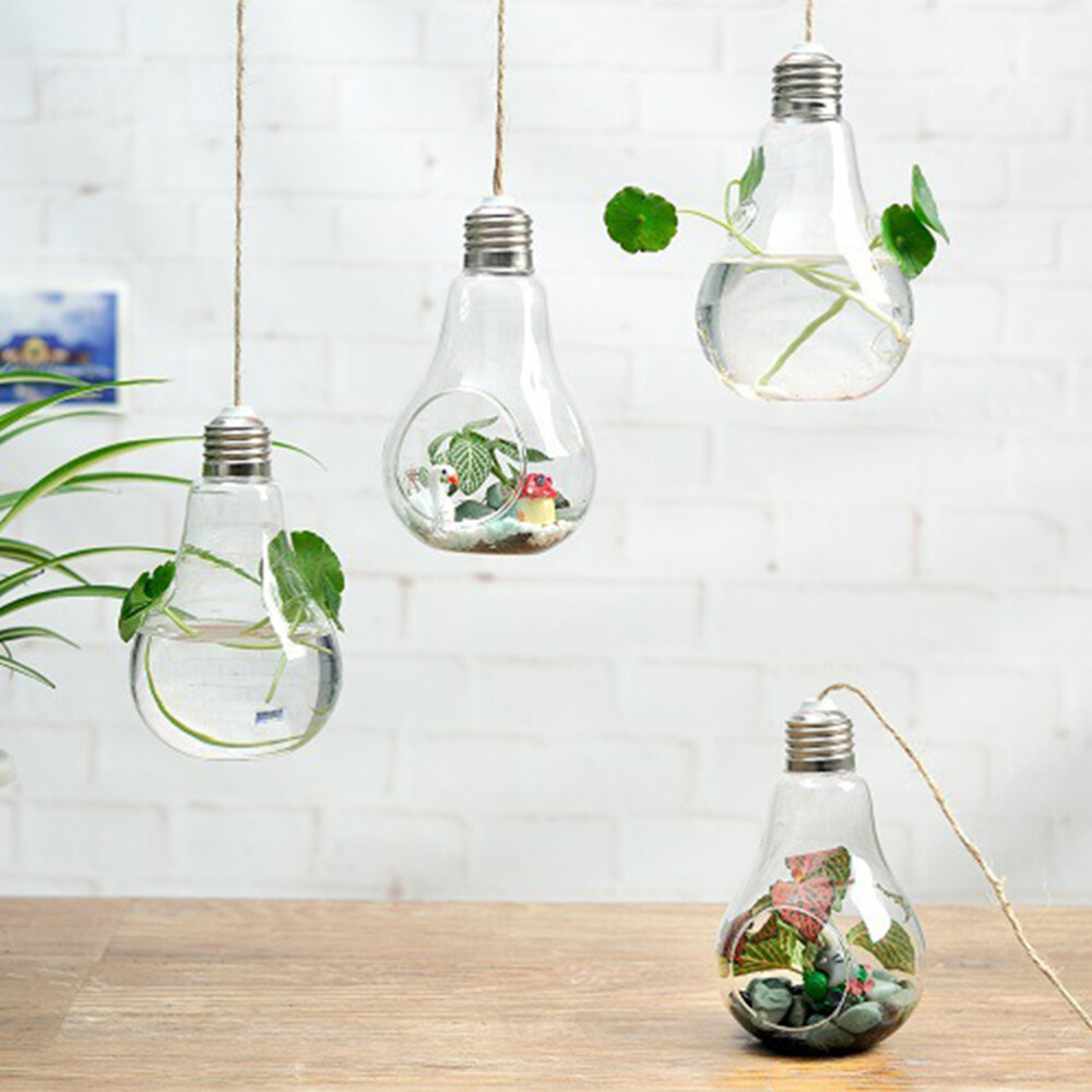 Glass Light Bulb Vase Wall Planter for Indoor Plants and Flowers