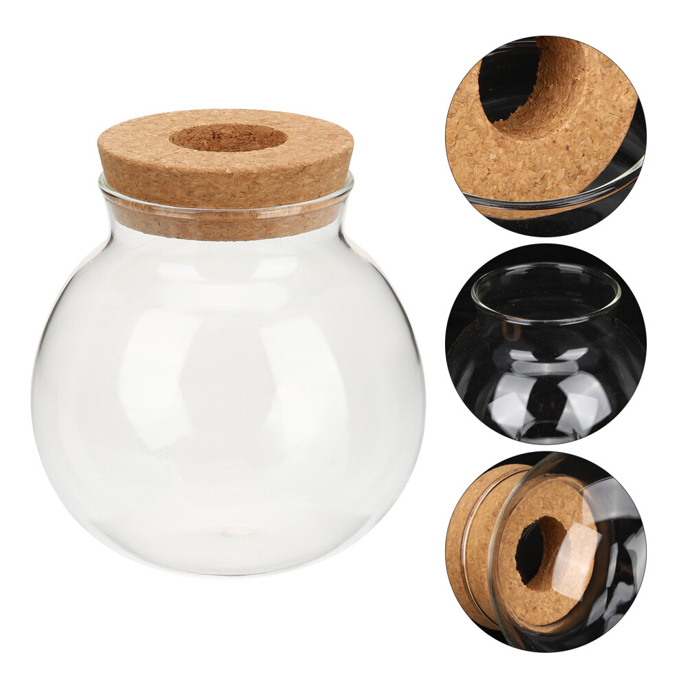 Plant Terrarium Propagation Station Hydroponic Vase Water Planting Container