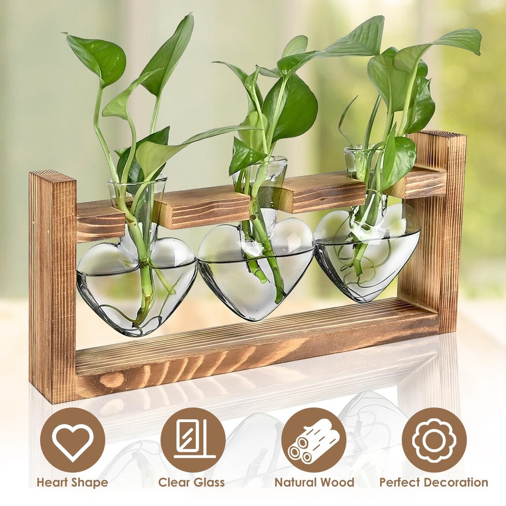 3pcs Glass Plant Terrarium with Wooden Stand for Home Office Garden Decor