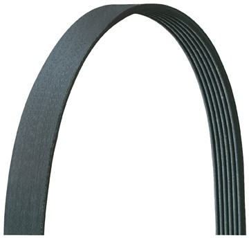 Serpentine Belt For Main Drive Dayco For 2009-2010 Jaguar XF