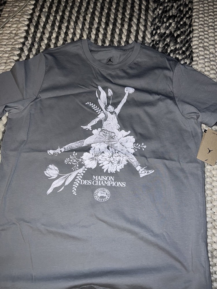 NWT Men's AIR JORDAN Sport Paris DRI-FIT T-SHIRT Grey FZ1928-073 Sz S-2XL