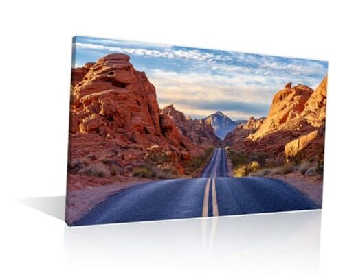 Modern US Park Natural Landscape Canvas Art Print 23L x 16W Handcrafted Home Decor-30